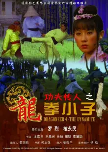 《功夫传人之龙拳小子》：热血少年，功夫梦燃爆银幕！