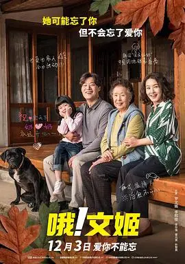 《哦！文姬》：一场关于记忆与爱的温情治愈之旅
