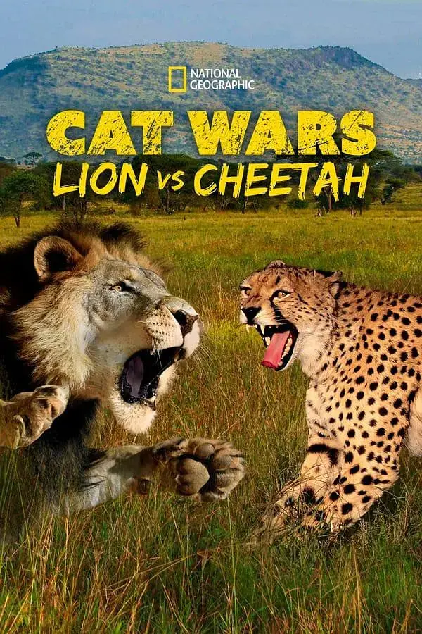 《搜索：猫科大战》震撼来袭！狮子与猎豹巅峰对决，谁是草原真正王者？