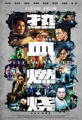 《热血燃烧》：热血与荣耀交织的武侠史诗，谱写不朽的江湖传说！